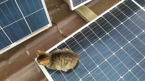 Солнечная электростанция на 12 вольт ⚡ Монокристаллические панели лучше?⚡