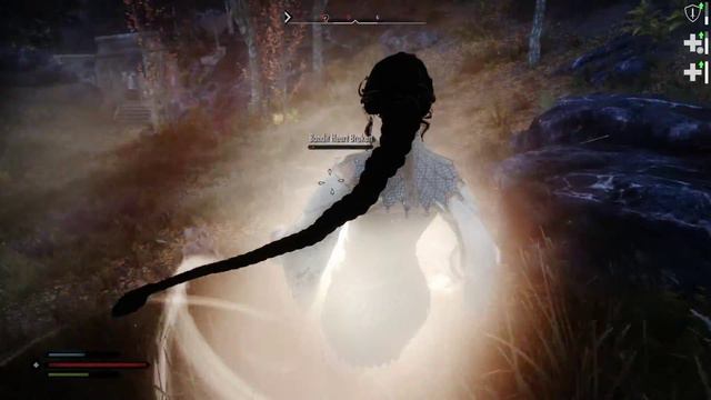 Collecting my first Aetherium Shard | Verolevi Animations【Skyrim Special Edition】 смотреть онлайн