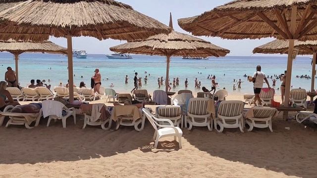 Пляж отеля Faraana Reef 4* , анимация и шоу с юбками . смотреть онлайн