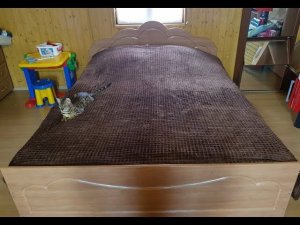 КАК КУПИТЬ ПОСТЕЛЬНОЕ БЕЛЬЕ