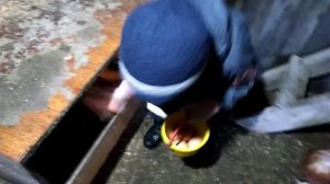 Молодое поколение помогает старшим!