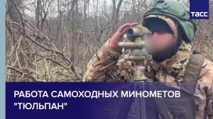 Работа самоходных минометов "Тюльпан"