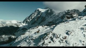 2021 Ford Bronco Sport  Raised by Goats   Ford  30