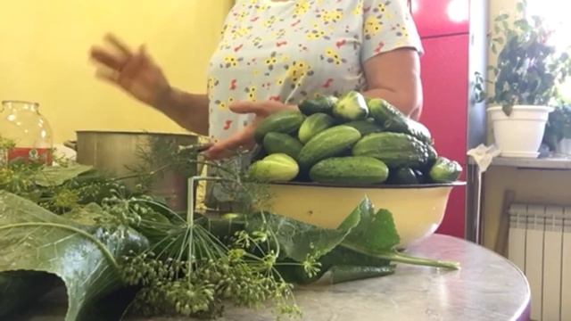 Хорватия : огурцы естественного брожения как бочковые / прекрасный умаг