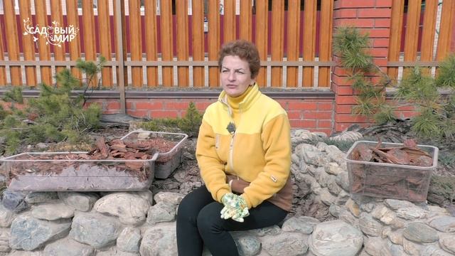 Как избавиться от сорняков в саду эффективно | Мульча из коры