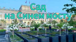 Пешком по Петербургу. Карета, сад на Синем мосту перед Мариинским дворцом. Видеопрогулка