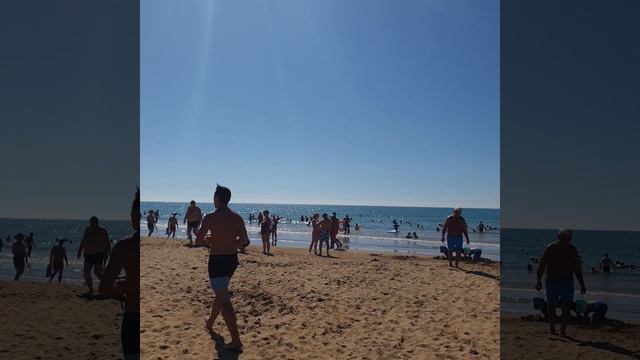 Октябрьский пляж Royal Taj Mahal смотреть онлайн