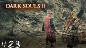 Dark Souls 2 #23 |Прохождение| Много яда и Гавлан