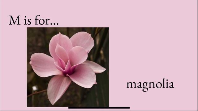 ABC flowers смотреть онлайн