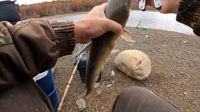 Рыбалка на Lake Moomaw. Catfish and Chain Pickerel. Я Наконец то Помал Щуку! смотреть онлайн