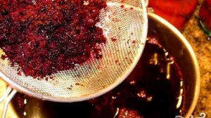 Вино из черноплодки в домашних условиях