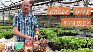 Какое органическое удобрение лучше?