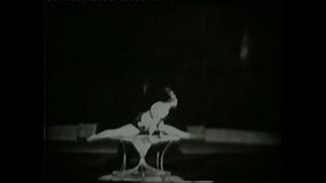 Пластичекий этюд. Каучук. Евгения Страшная 1964. Plastic etude. Rubber. Eugene Terrible in 1964.