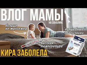 Кира заболела | Высокая температура | Больше не малоежка | Волшебные подгузники | Влог мамы (71)