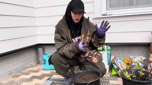 Про грунт для роз