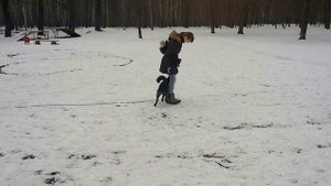 Дрессировка дворняжки