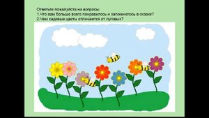 презентация-занятие познание цветочный ковёр