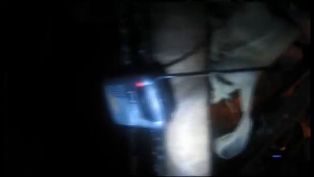 Лес зимой смотреть онлайн