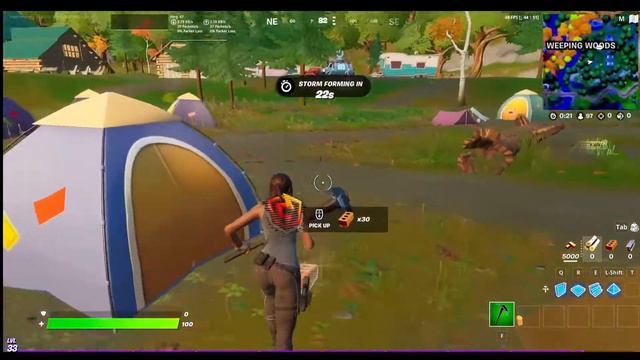 WILLOW Location - Character #44 in Chapter 2 Season 6 смотреть онлайн