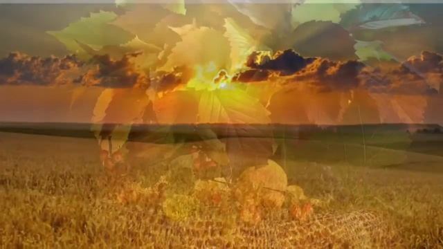 Последние дни лета... смотреть онлайн