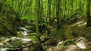 Большой каньон Крыма, водопад Серебряные струи
