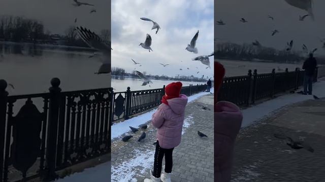 Краснодар юбилейный река Кубань