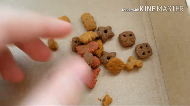 🌷Лакомства моего котенка (Пии)🌷 смотреть онлайн