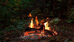 ? Campfire at Night in the Autumn Forest 4K ULTRA HD! Cozy Bonfire with Fire & Nature Sounds