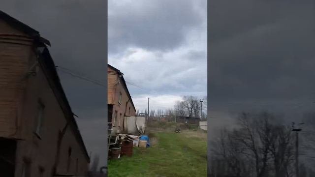 Коли, як випускати після зими голубів,атаки яструба, як знизити ризики !!!
