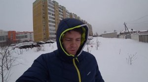 Первая прогулка с щенком Шелти - Как это было❓