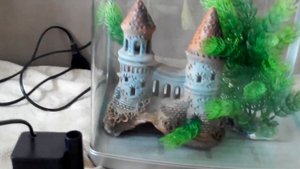 Обзор китайского аквариума JEBO R331