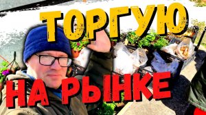 Приехал на рынок торговать ЦВЕТАМИ и РАССАДОЙ.СКОЛЬКО ДЕНЕГ ЗАРАБОТАЛ. Первый выезд #21