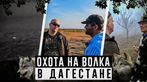 Охота на волка в Дагестане. Нашли загадочное захоронение древних людей.