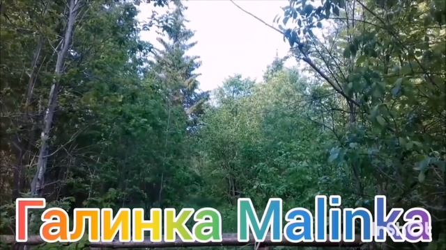 Пиратская жизнь /Соперница разбила машину /Обзор Влогов /Нина и Вовчик /Ольга Уралочка live /