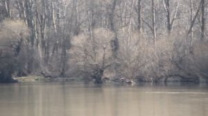 Румыния,Галац. Дельта Дуная и не только! Восточная Европа.