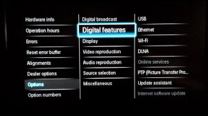PHILIPS HIDDEN SECRET SERVICE MENU/MODE