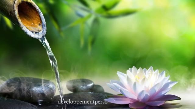 relaxation zen et piano смотреть онлайн