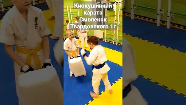 Киокушинкай. Батаев Макар, 8 лет.Тренировки в SOK ( Смоленск) смотреть онлайн