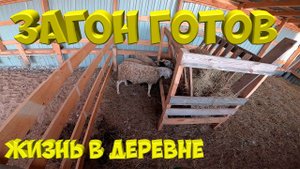 Загон в птичнике для барашек.  [Жизнь в деревне]