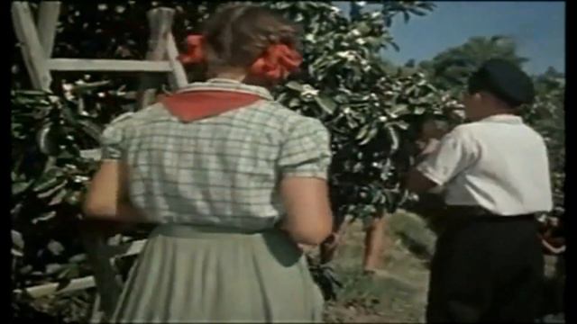 «Сочи в кадре». Часть 1.