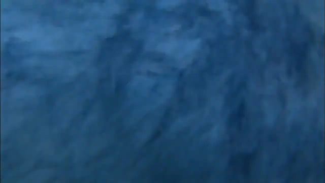 Class Nature ( Классная Природа ) смотреть онлайн