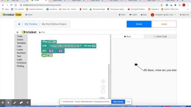 CoderDojo Week 8 - Exploring Turtle Graphics in Python