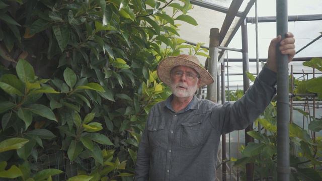 8 Fruits You Didn't Know You Could Grow in the Pacific Northwest (and Vancouver Island) смотреть онлайн