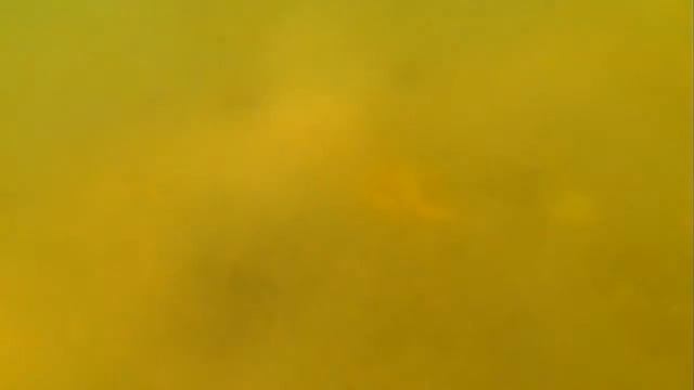 Подводный мир озера Шира смотреть онлайн