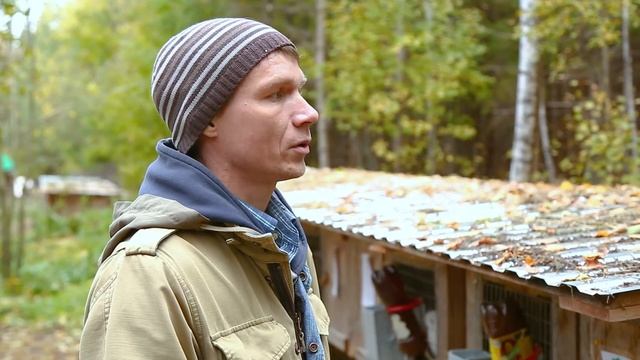 Кому продавать фермеру. Личный опыт фермера со стажем.