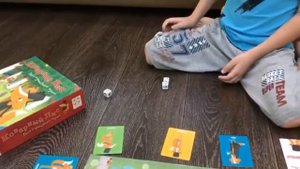 Настольная игра КОВАРНЫЙ ЛИС/Играю в настольную игру/Супер Сулейман