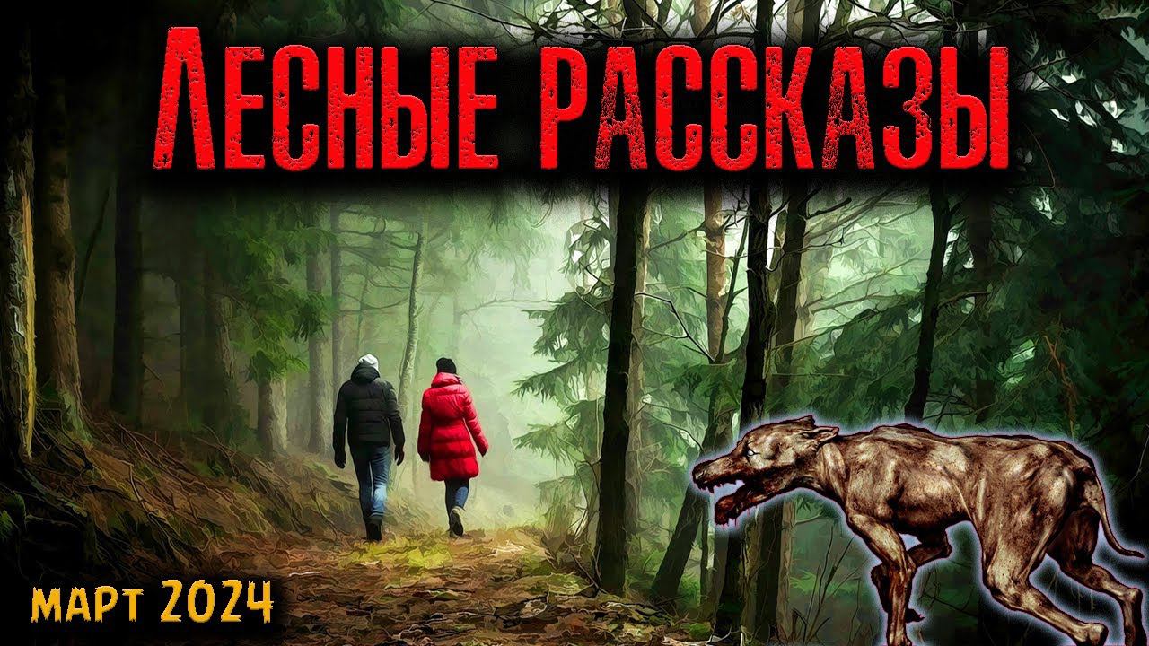 ЛЕСНЫЕ РАССКАЗЫ | Страшные истории