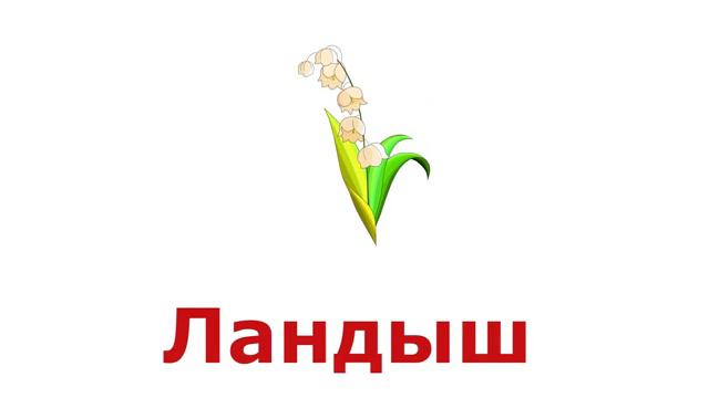 Карточки Домана. Сборник. Изучаем Природу. Развивающий мультик для самых маленьких детей д
