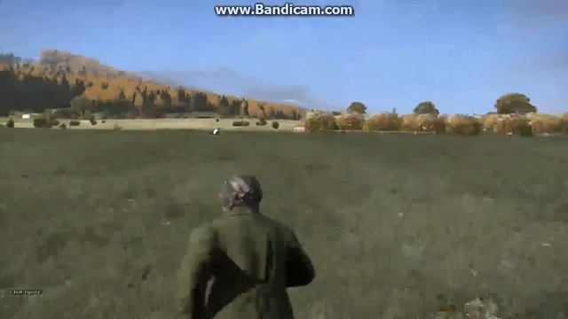 Чёрно Белая  Корова в DayZ смотреть онлайн