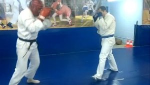 Рукопашный бой. Защита от удара ногой (лоу-кик)